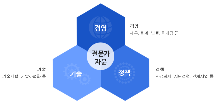 전문가자문, 경영:세무, 회계, 법률, 마케팅 등 / 정책:R&D과제, 지원정책, 연계사업 등 / 기술:기술개발, 기술사업화 등